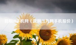 昆明39手机网（昆明三九网手机报价）