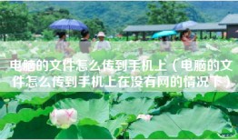 电脑的文件怎么传到手机上（电脑的文件怎么传到手机上在没有网的情况下）