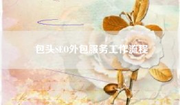 包头SEO外包服务工作流程