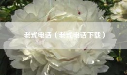老式电话（老式电话下载）