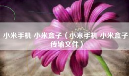 小米手机 小米盒子（小米手机 小米盒子 传输文件）