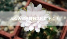 点石关键词排名优化软件  7.45
