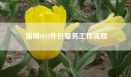 淄博SEO外包服务工作流程