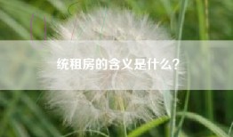 统租房的含义是什么？