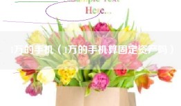 1万的手机（1万的手机算固定资产吗）