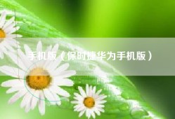 手机版（保时捷华为手机版）
