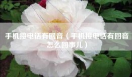 手机接电话有回音（手机接电话有回音怎么回事儿）