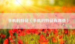 手机的特征（手机的特征有哪些）