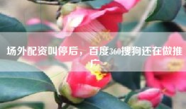 场外配资叫停后，百度360搜狗还在做推广