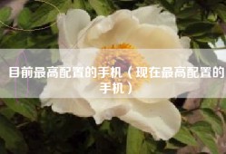目前最高配置的手机（现在最高配置的手机）