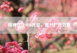 精确优化SEM托管，提升广告效果