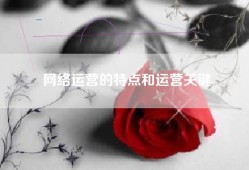 网络运营的特点和运营关键