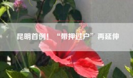 昆明首例！“带押过户”再延伸