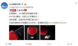 鬼斧神工 X20王者荣耀版这设计亮眼vivox20手机怎么样「鬼斧神工 X20王者荣耀版这设计亮眼」
