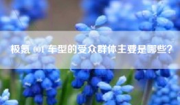 极氪 001 车型的受众群体主要是哪些？