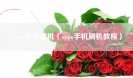 oppo手机刷机（oppo手机刷机教程）
