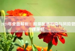 2024年全面解析：股票配资指南与风险管理策略