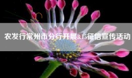 农发行常州市分行开展3.15征信宣传活动