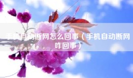 手机自动断网怎么回事（手机自动断网咋回事）