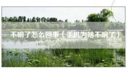 不响了怎么回事（手机为啥不响了）