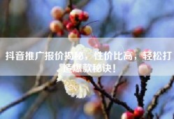 抖音推广报价揭秘，性价比高，轻松打造爆款秘诀！
