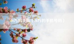20万的手机（20万的手机号码）
