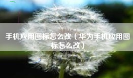 手机应用图标怎么改（华为手机应用图标怎么改）