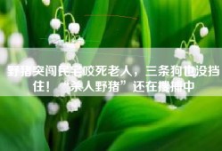 野猪突闯民宅咬死老人，三条狗也没挡住！“杀人野猪”还在搜捕中