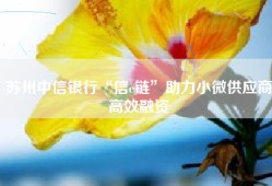 苏州中信银行“信e链”助力小微供应商高效融资