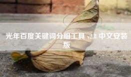 光年百度关键词分组工具 v2.8 中文安装版