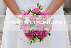 手机f是什么（手机f8是什么意思）