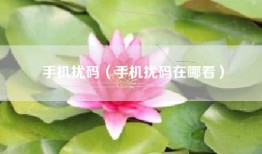 手机扰码（手机扰码在哪看）