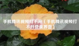 手机腾讯视频打不开（手机腾讯视频打不开登录界面）