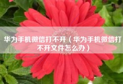 华为手机微信打不开（华为手机微信打不开文件怎么办）