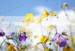 三个“河南中关村” 有望同时崛起于中原