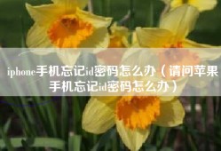 iphone手机忘记id密码怎么办（请问苹果手机忘记id密码怎么办）