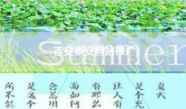 吉安泰安网站推广