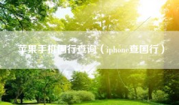 苹果手机国行查询（iphone查国行）