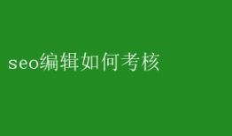 SEO编辑绩效考核指南：关键指标与策略解析 seo编辑如何考核