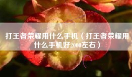 打王者荣耀用什么手机（打王者荣耀用什么手机好2000左右）