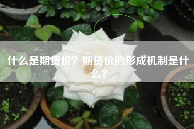 什么是期货价？期货价的形成机制是什么？