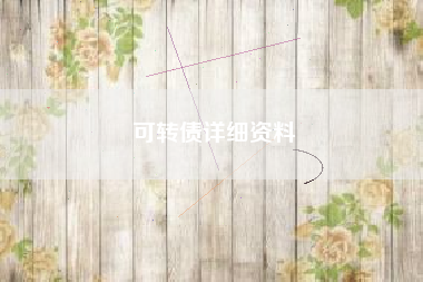 可转债详细资料