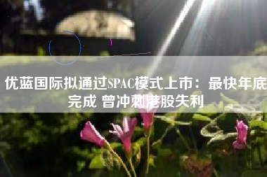 优蓝国际拟通过SPAC模式上市：最快年底完成 曾冲刺港股失利