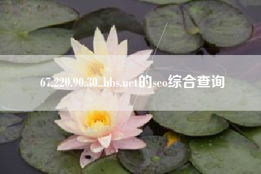 67.220.90.30..bbs.net的seo综合查询