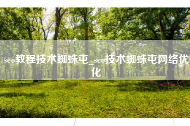 seo教程技术蜘蛛屯_seo技术蜘蛛屯网络优化