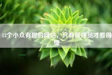 13个小众有趣的网站，只有程序员才看得懂