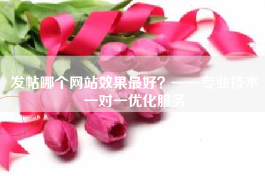 发帖哪个网站效果最好？——专业技术一对一优化服务