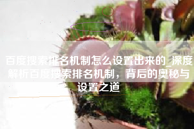 百度搜索排名机制怎么设置出来的_深度解析百度搜索排名机制，背后的奥秘与设置之道
