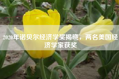 2020年诺贝尔经济学奖揭晓，两名美国经济学家获奖