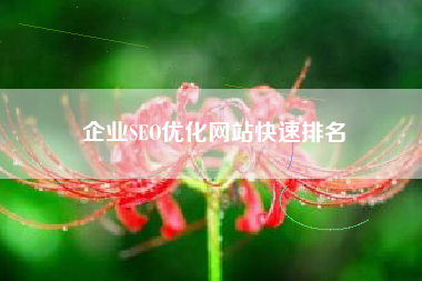 企业SEO优化网站快速排名
